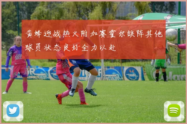 黄蜂迎战热火附加赛霍尔缺阵其他球员状态良好全力以赴