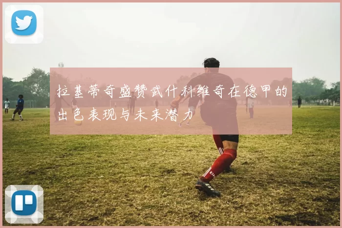 拉基蒂奇盛赞武什科维奇在德甲的出色表现与未来潜力